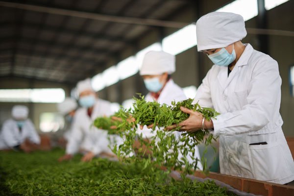 茶行业人力资源战略革新：聚焦店长角色升级与数字化人才体系构建
